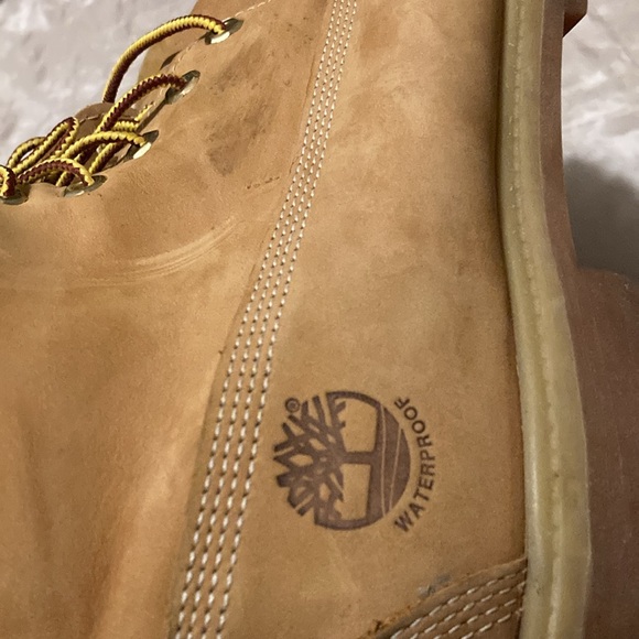 Timberland 6” boots Wheat - Picture 5 of 7
